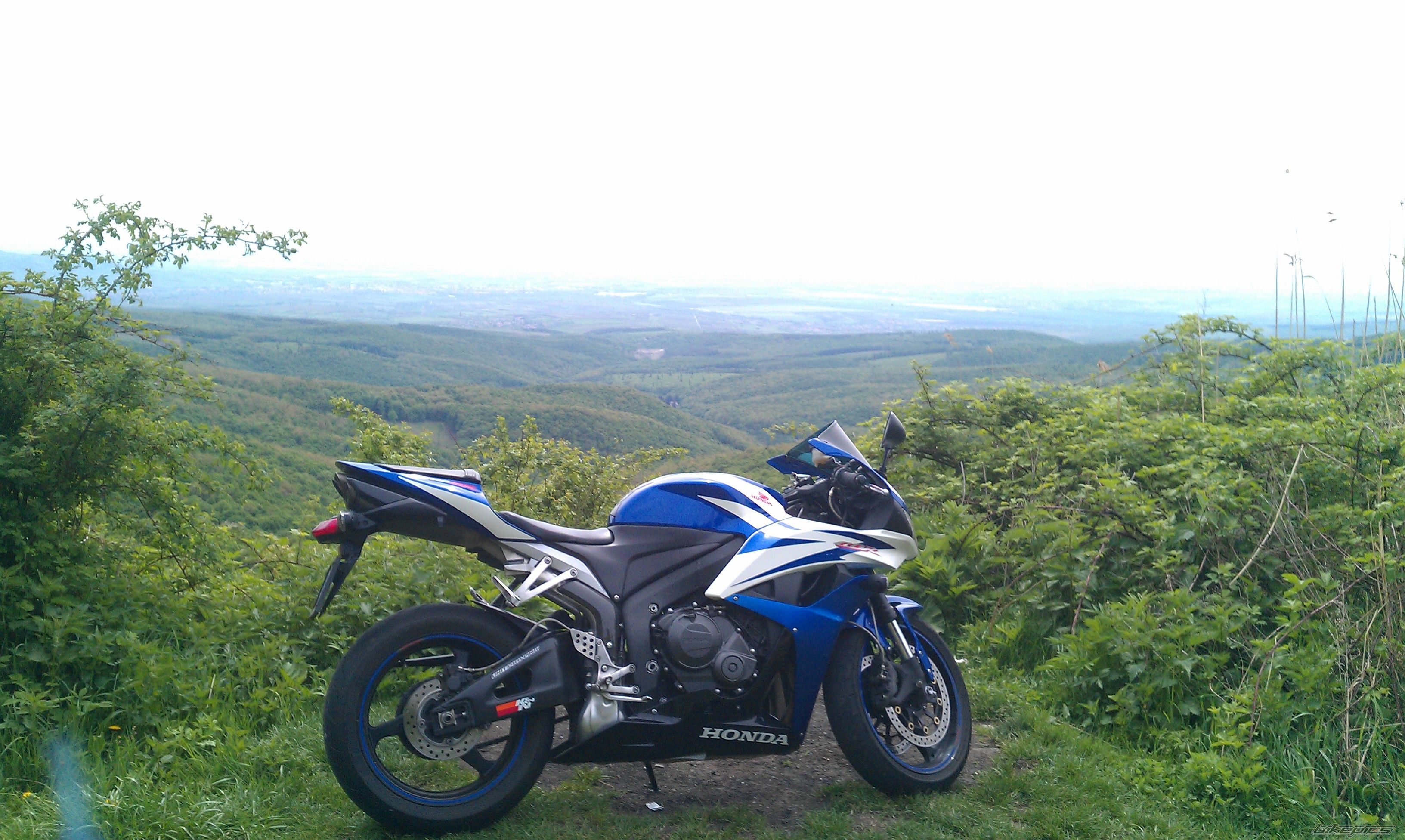 Photo 2740256