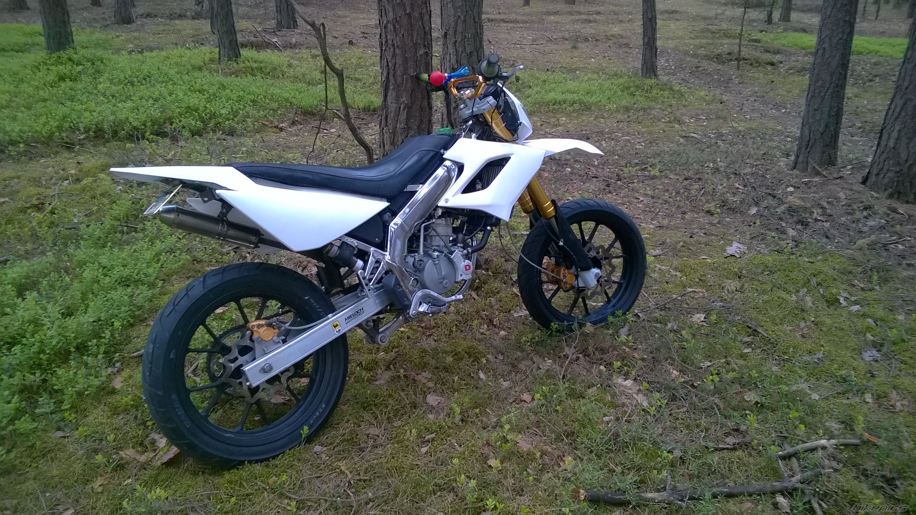 Photo 2740265