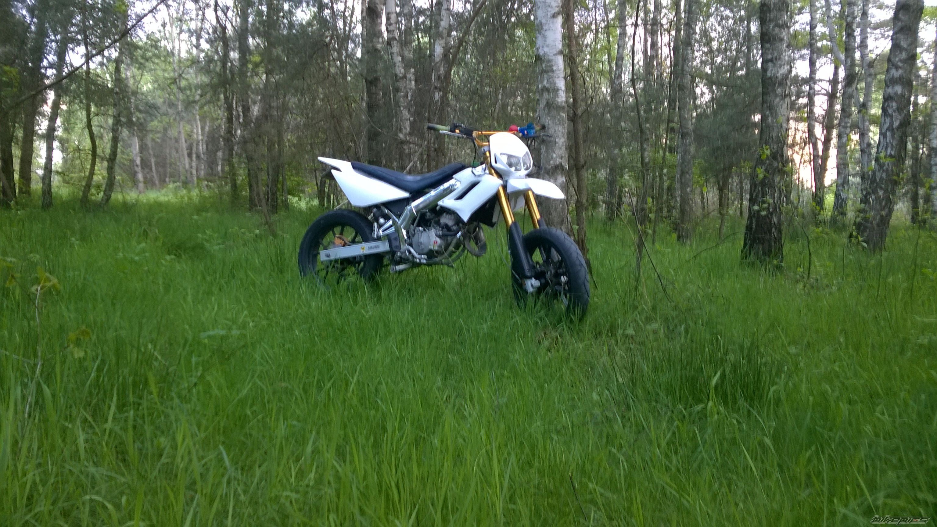 Photo 2740266
