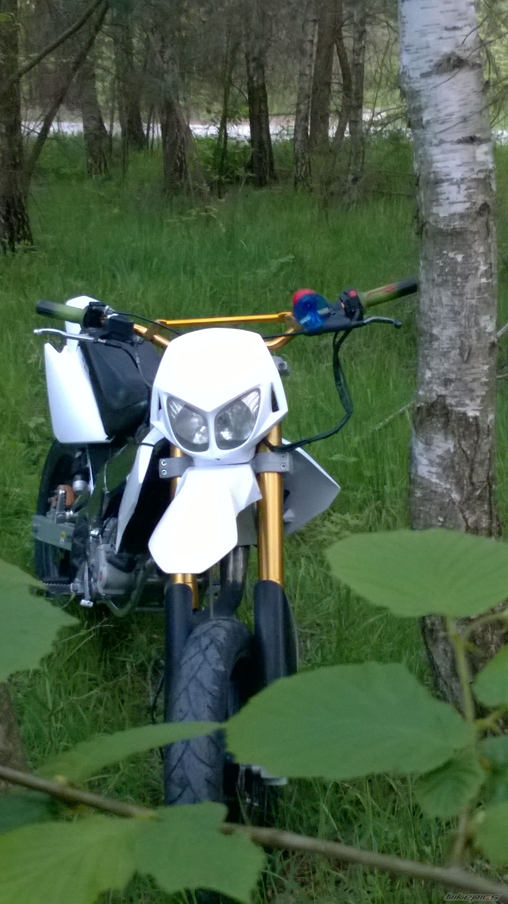 Photo 2740267
