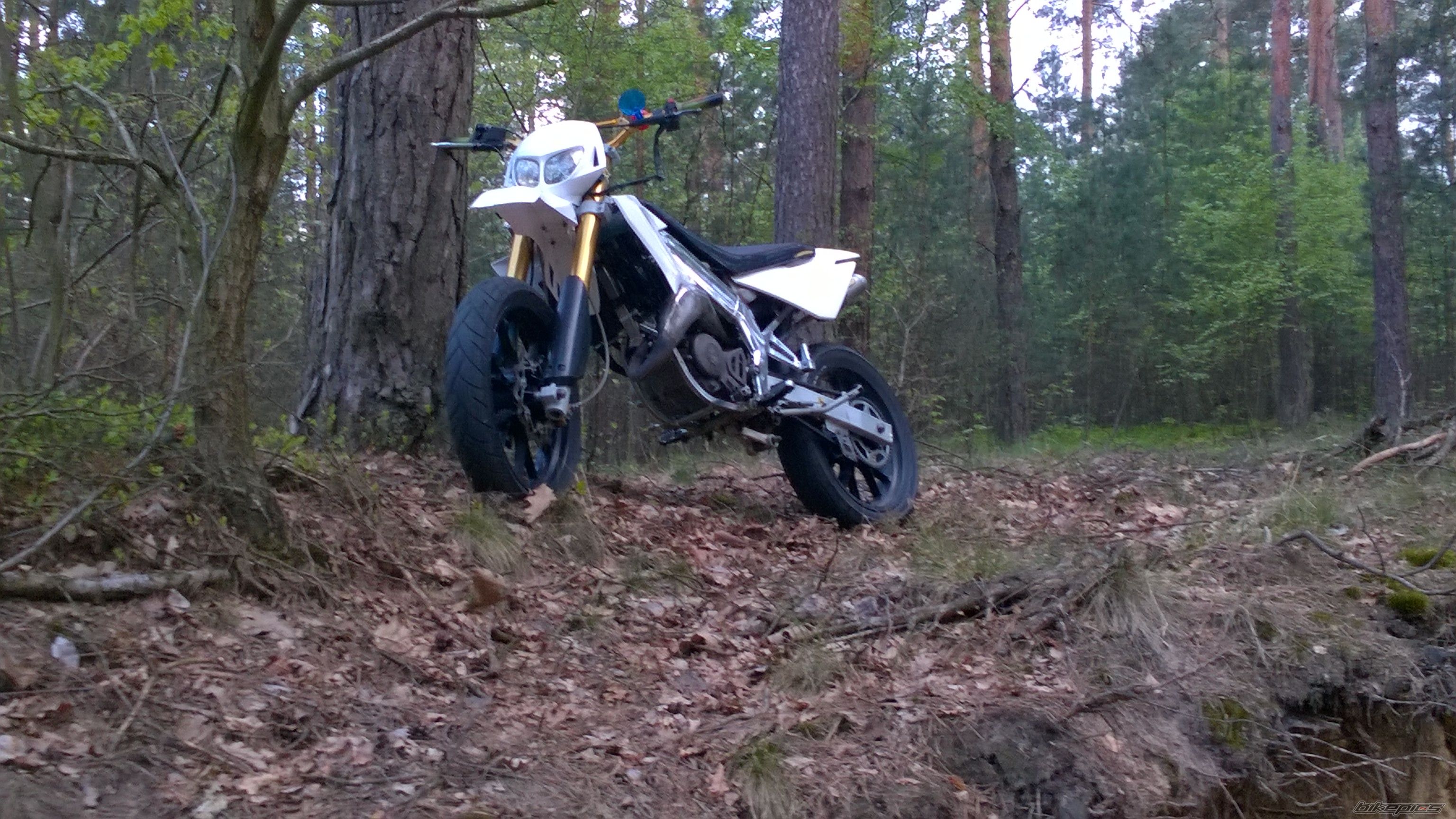 Photo 2740268
