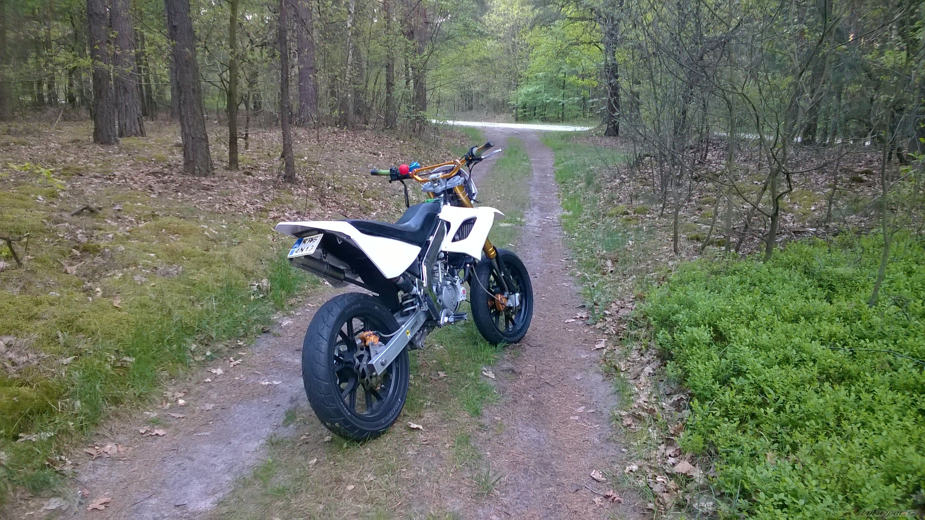 Photo 2740269