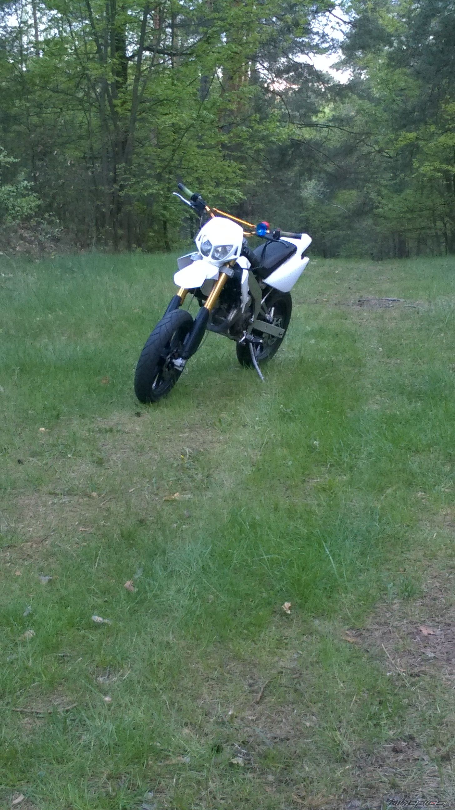 Photo 2740271