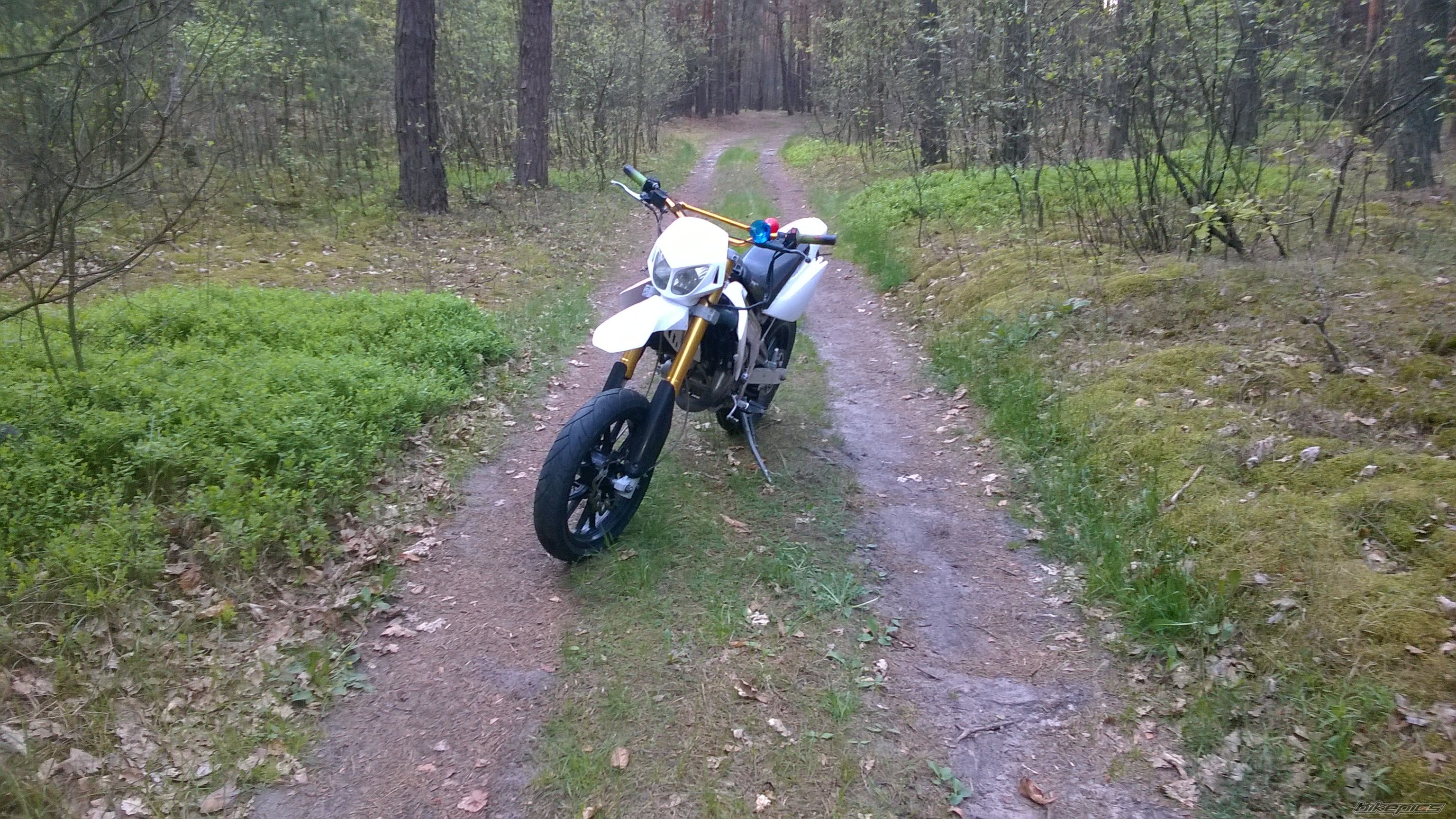 Photo 2740273