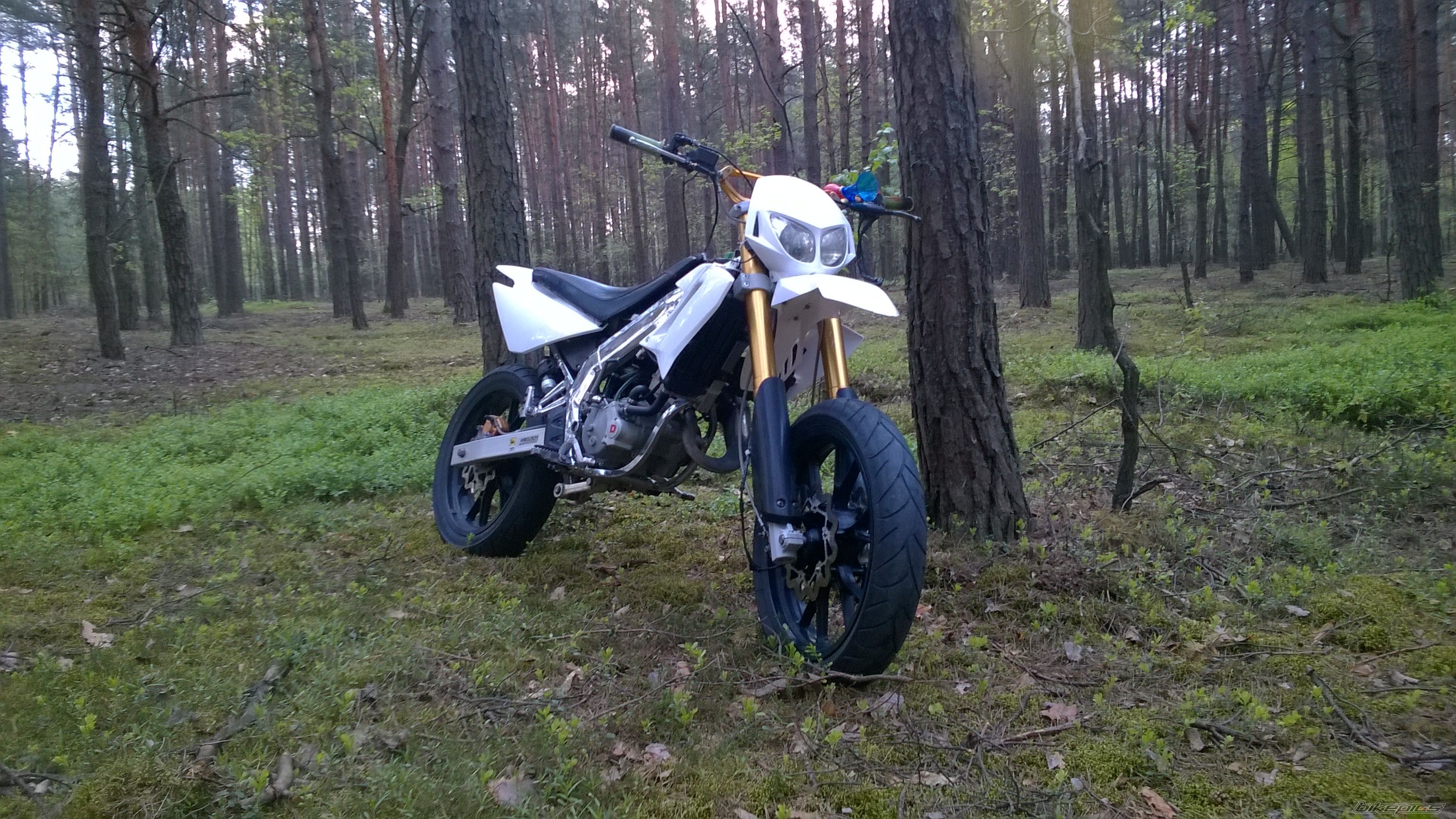 Photo 2740274