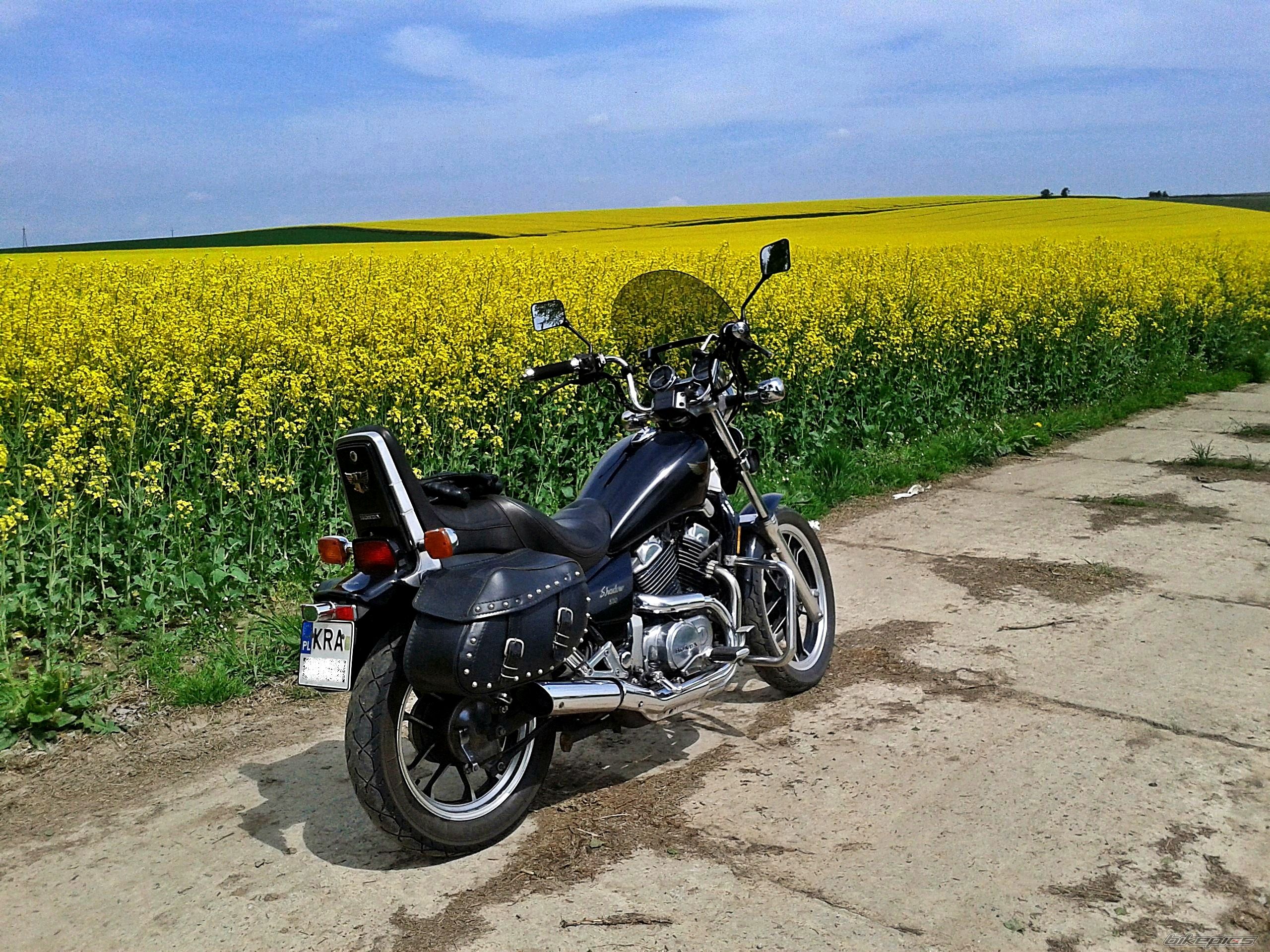 Photo 2740331
