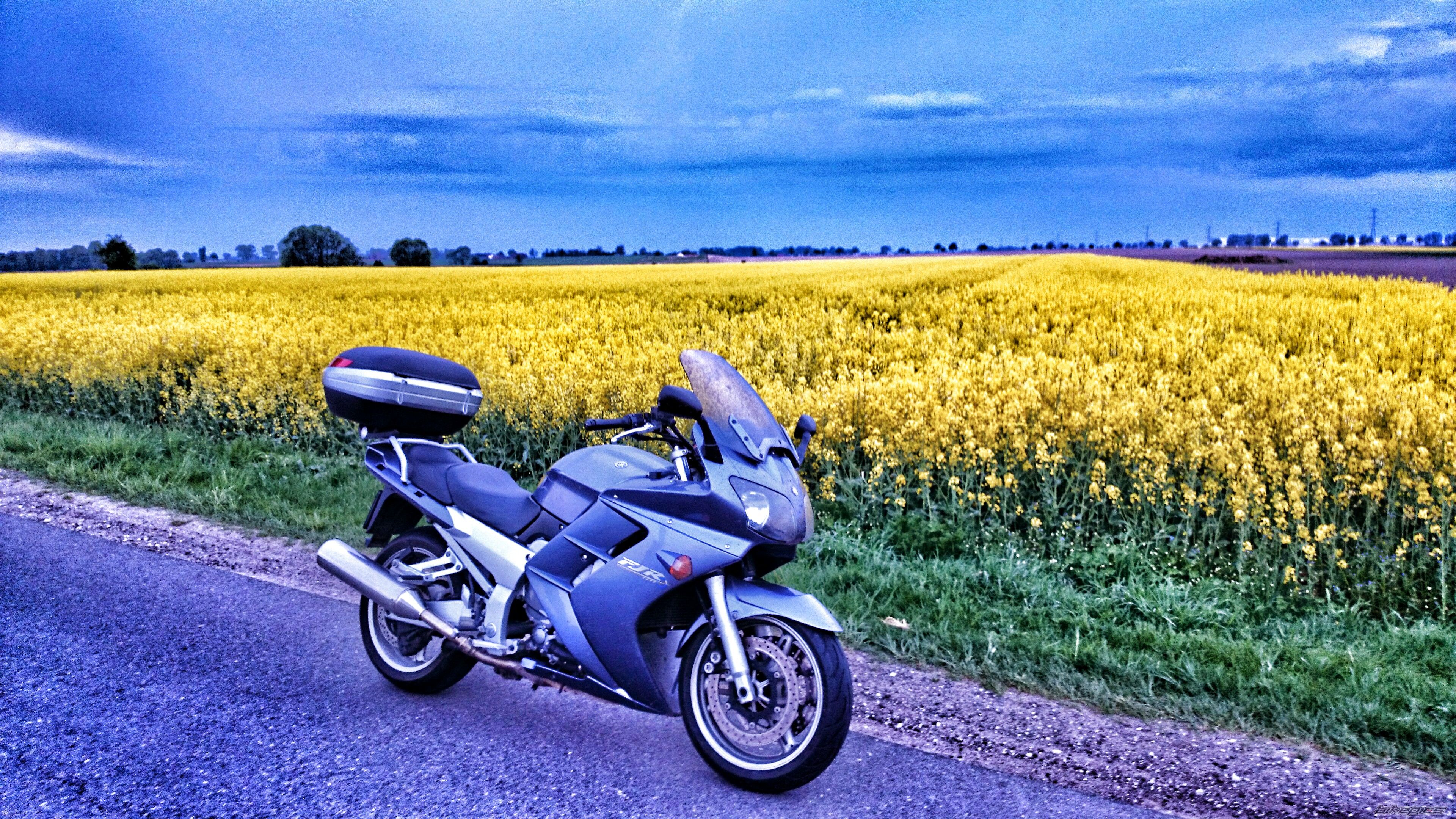 Photo 2740353