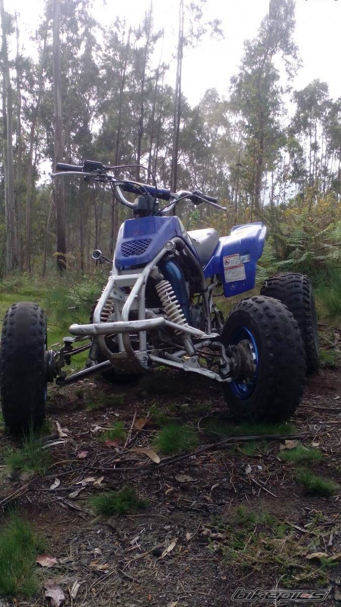 Photo 2740411