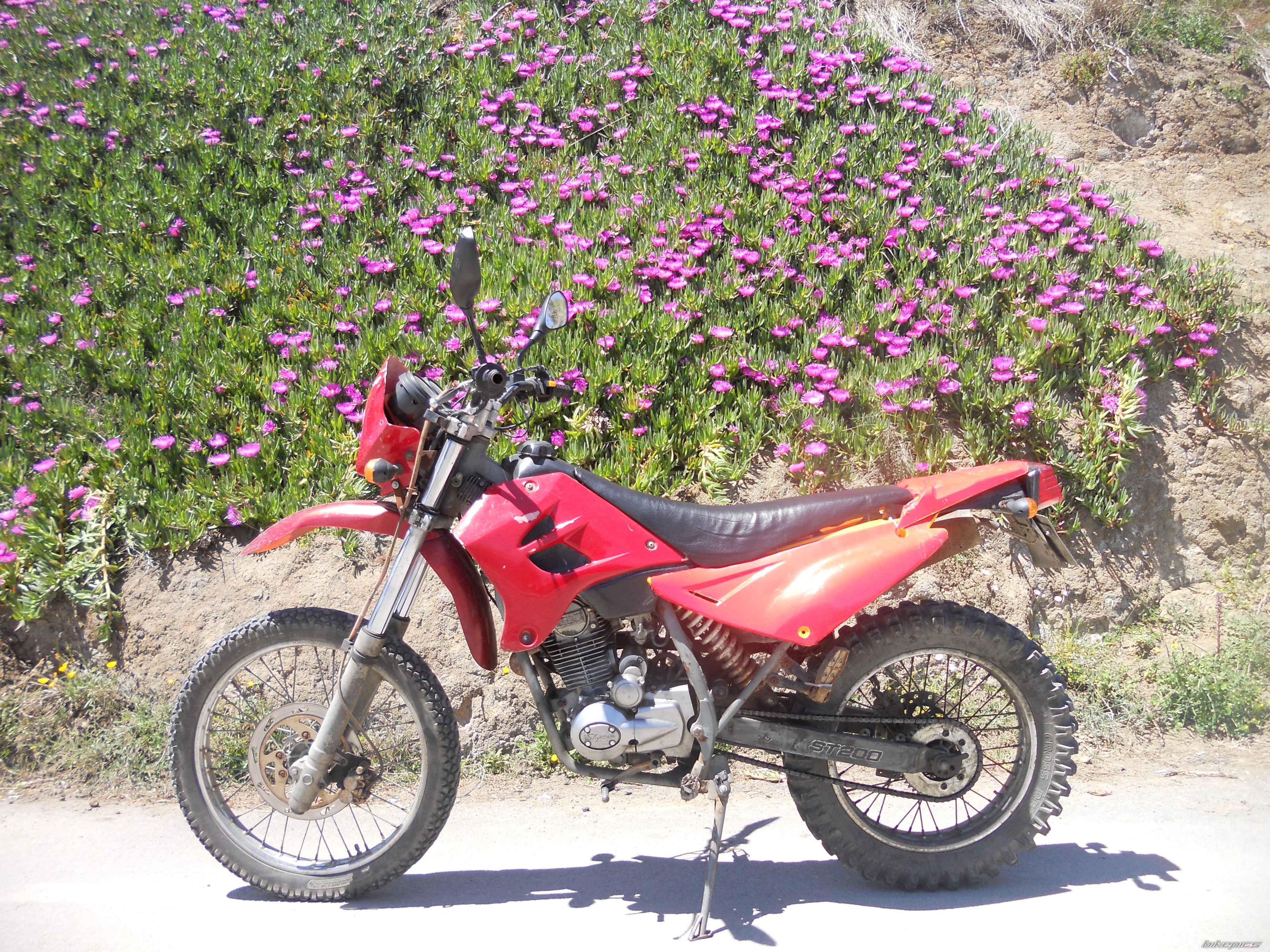 Bike Photo 2740474