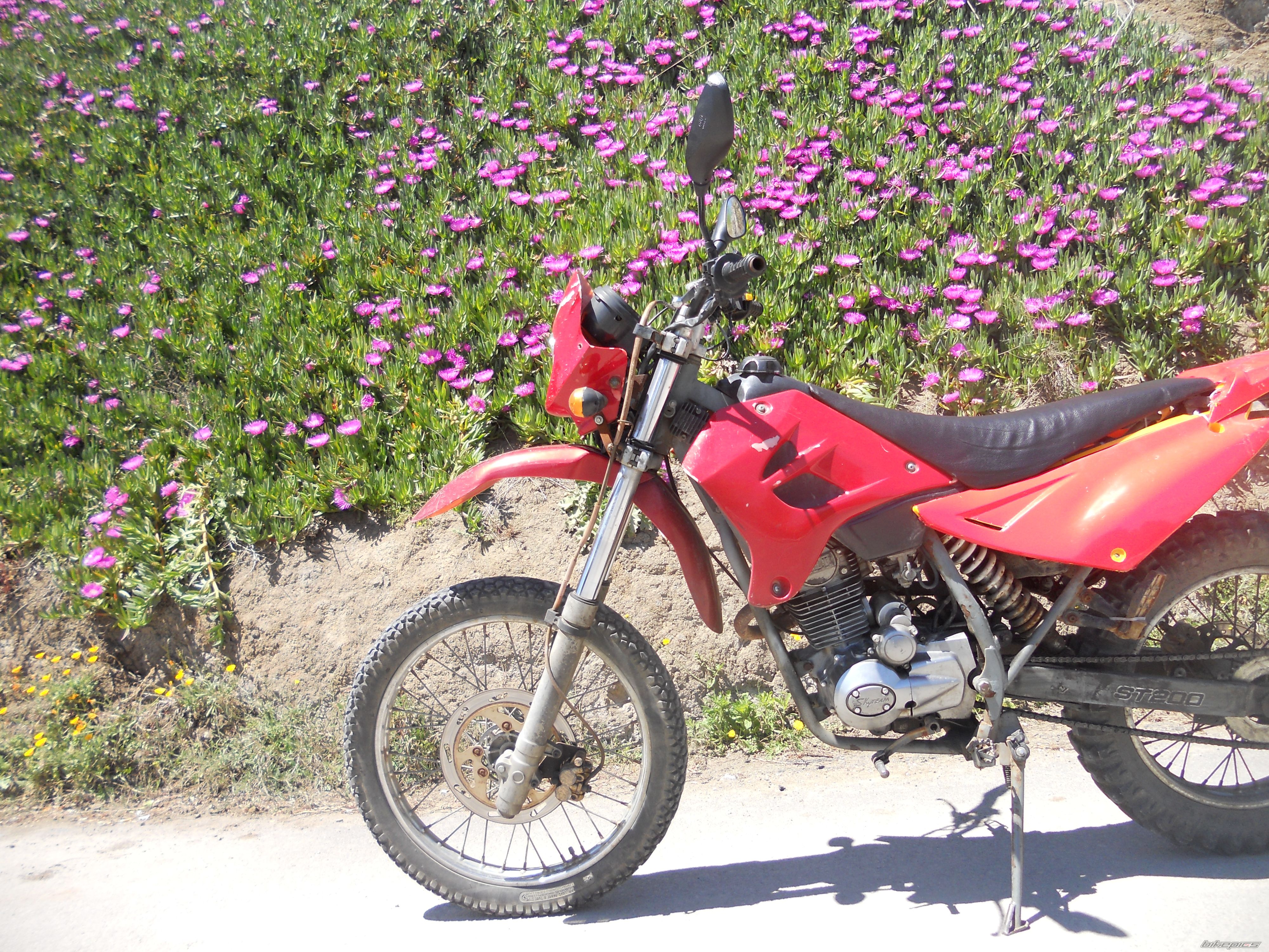 Bike Photo 2740478