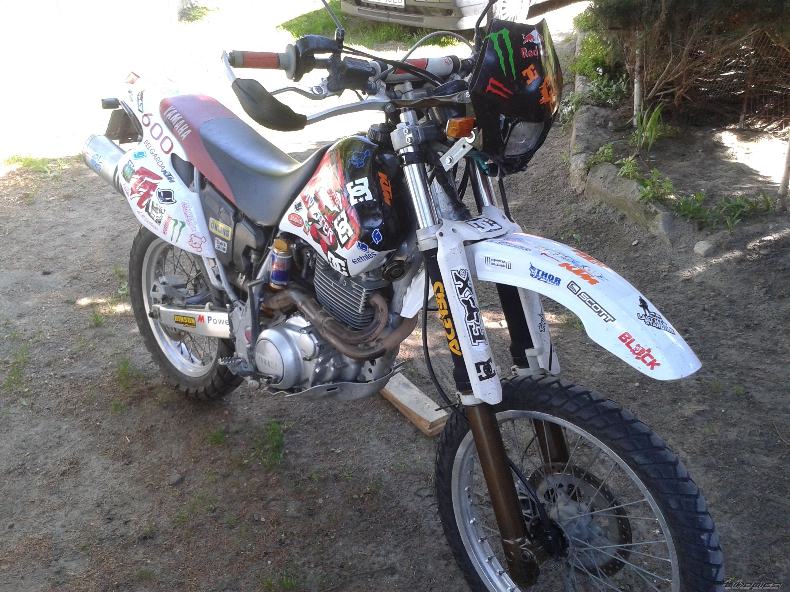 Photo 2740513