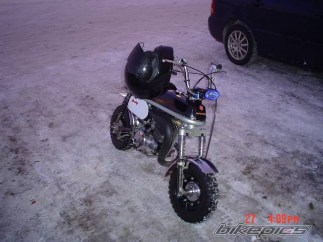 Photo 274060
