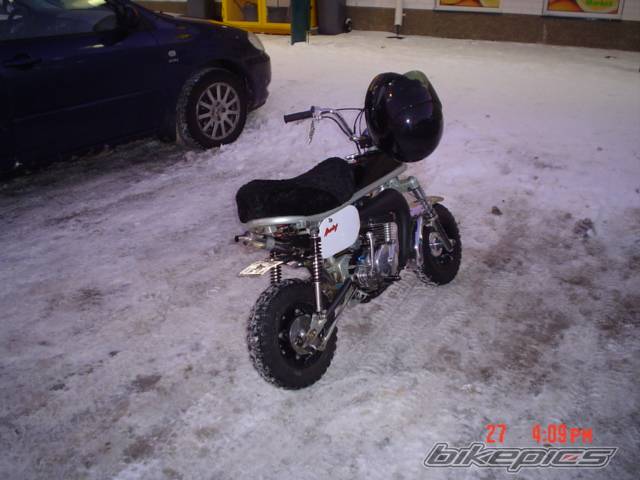 Photo 274061