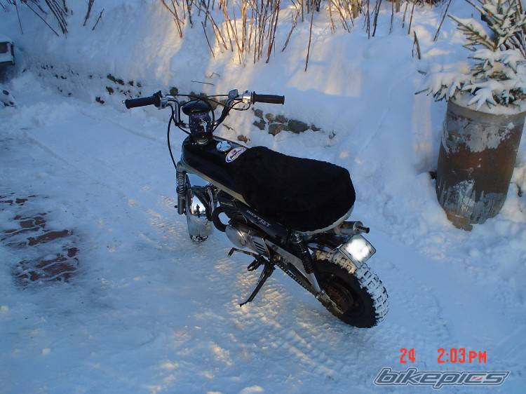 Photo 274062
