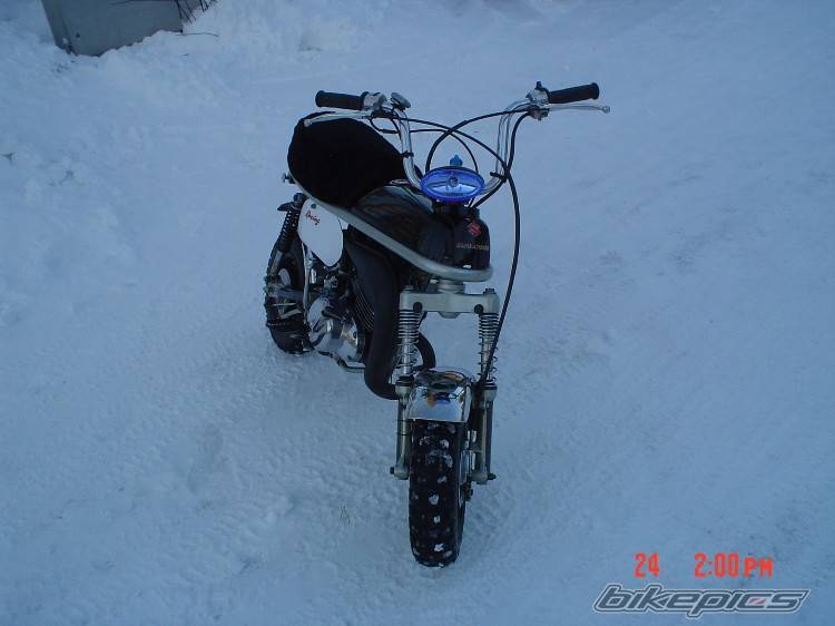 Photo 274064