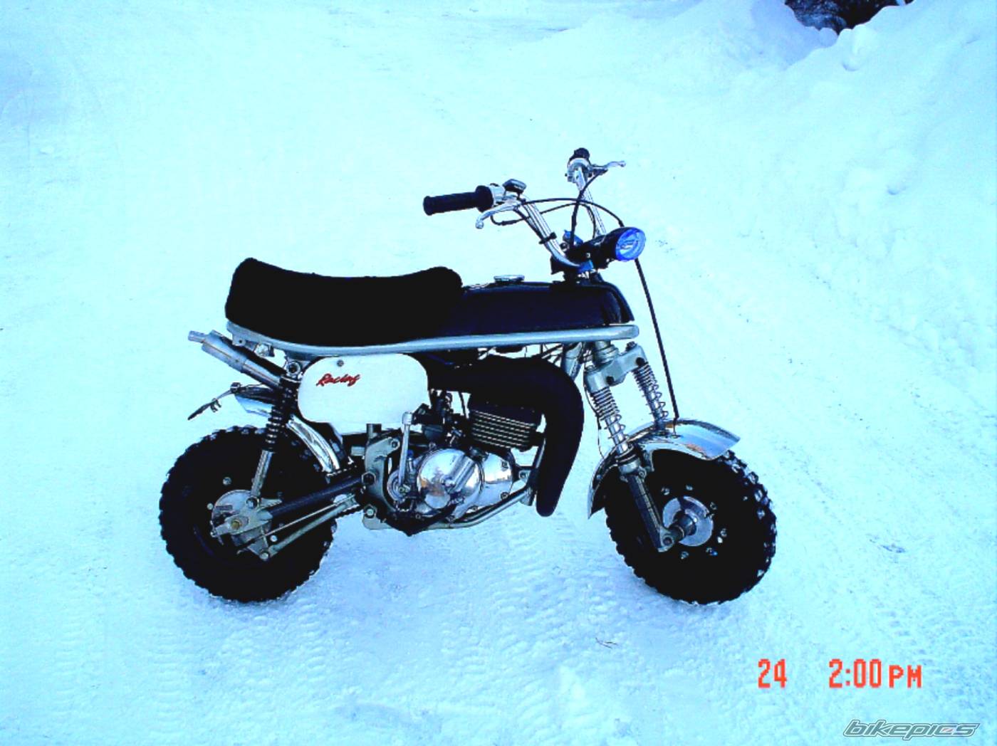 Photo 274065