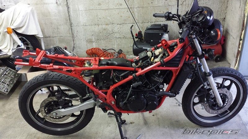Photo 2740653