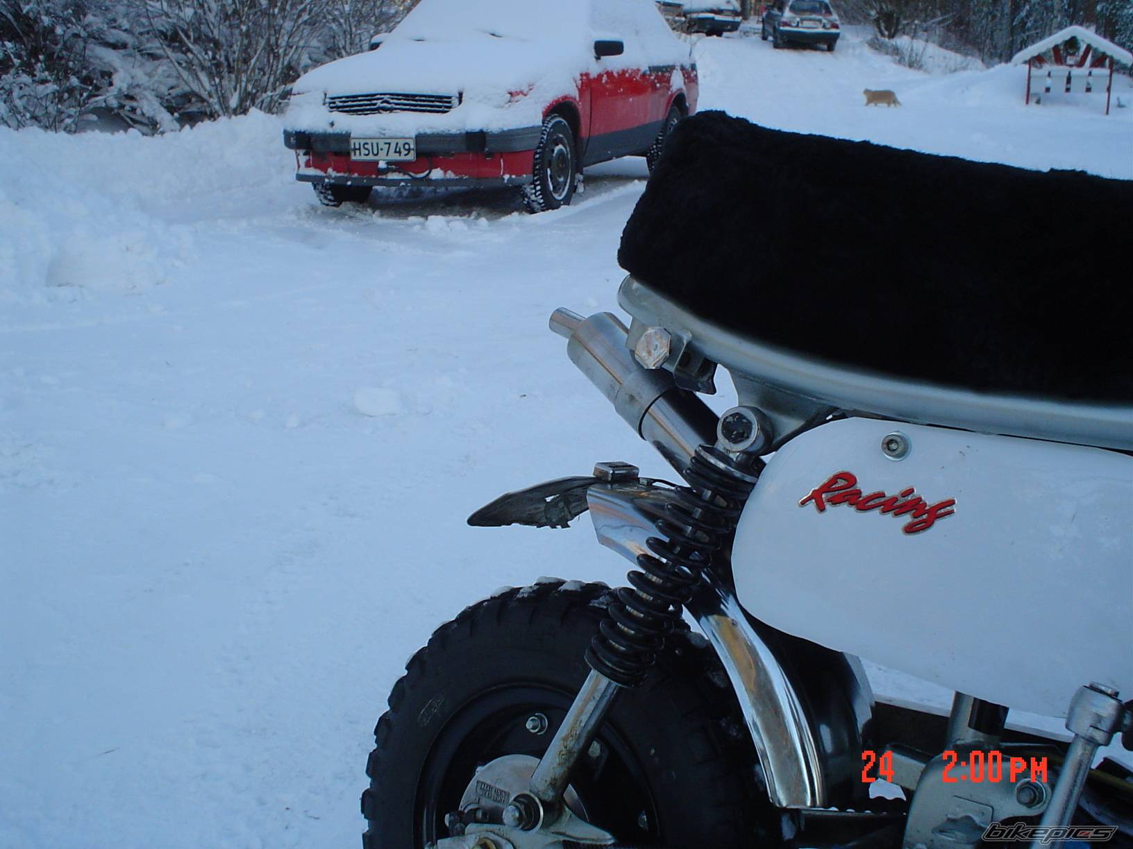 Photo 274067