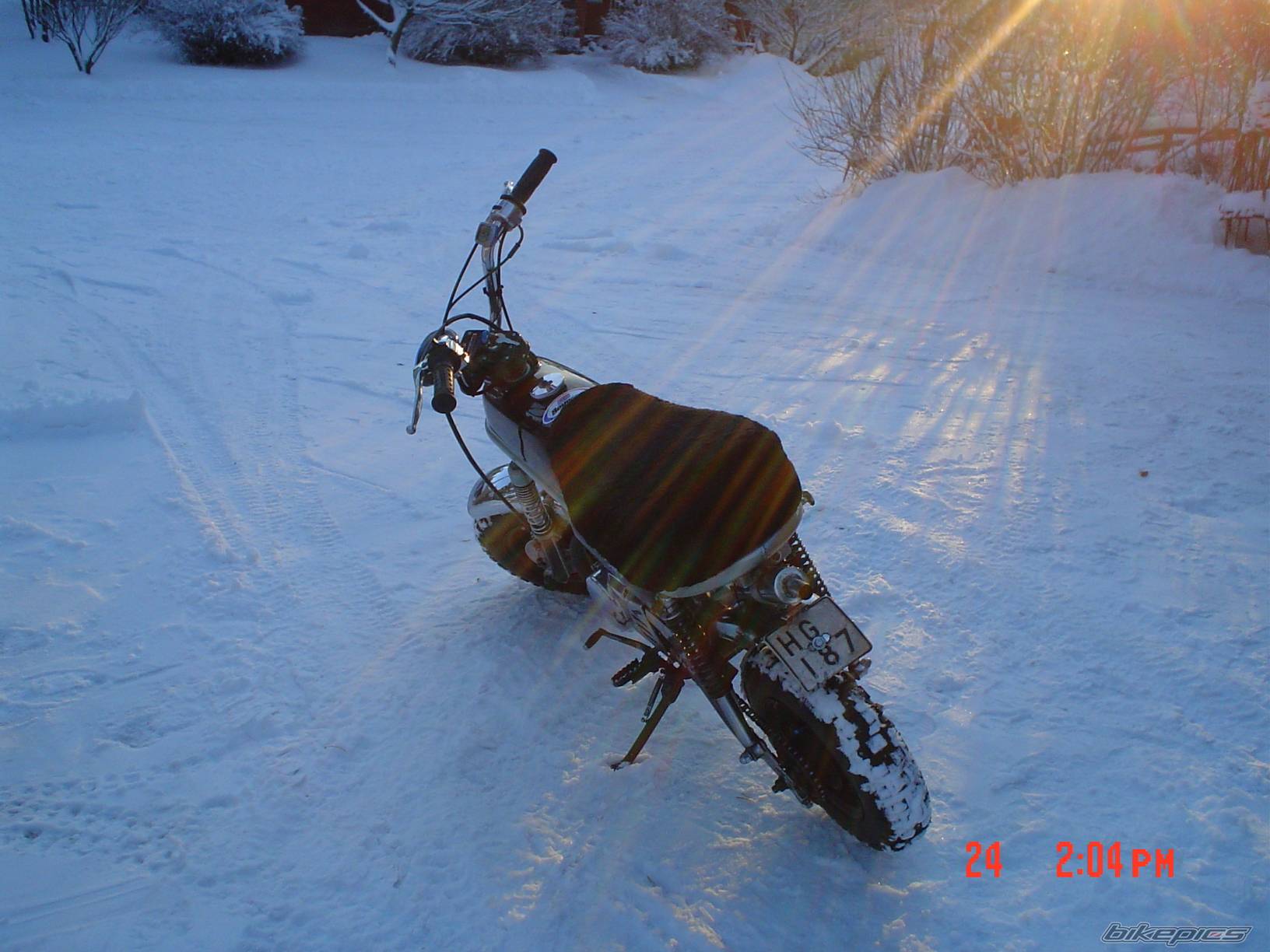 Photo 274077