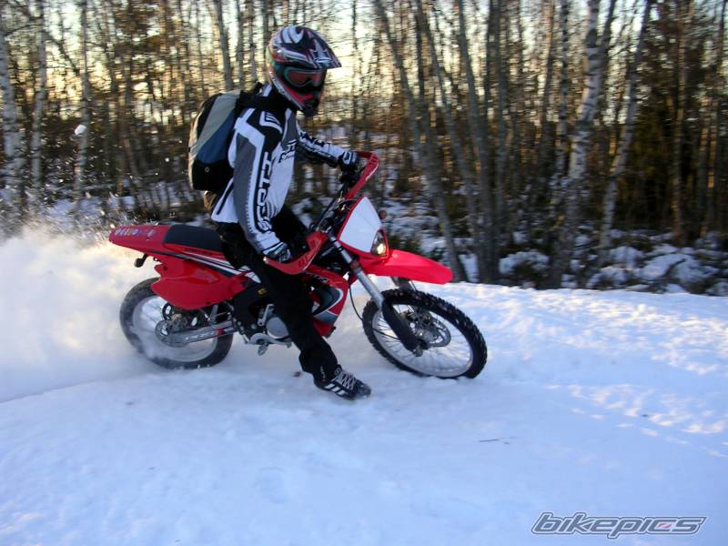 Photo 274082