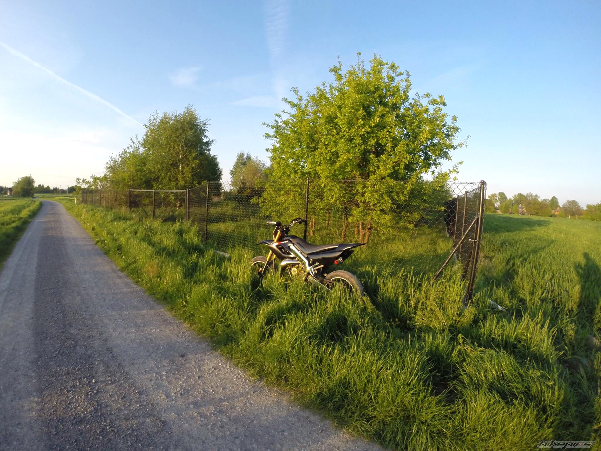 Photo 2741042