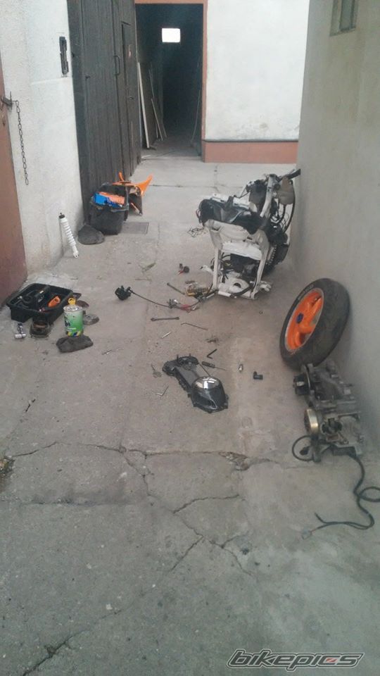 Photo 2741135