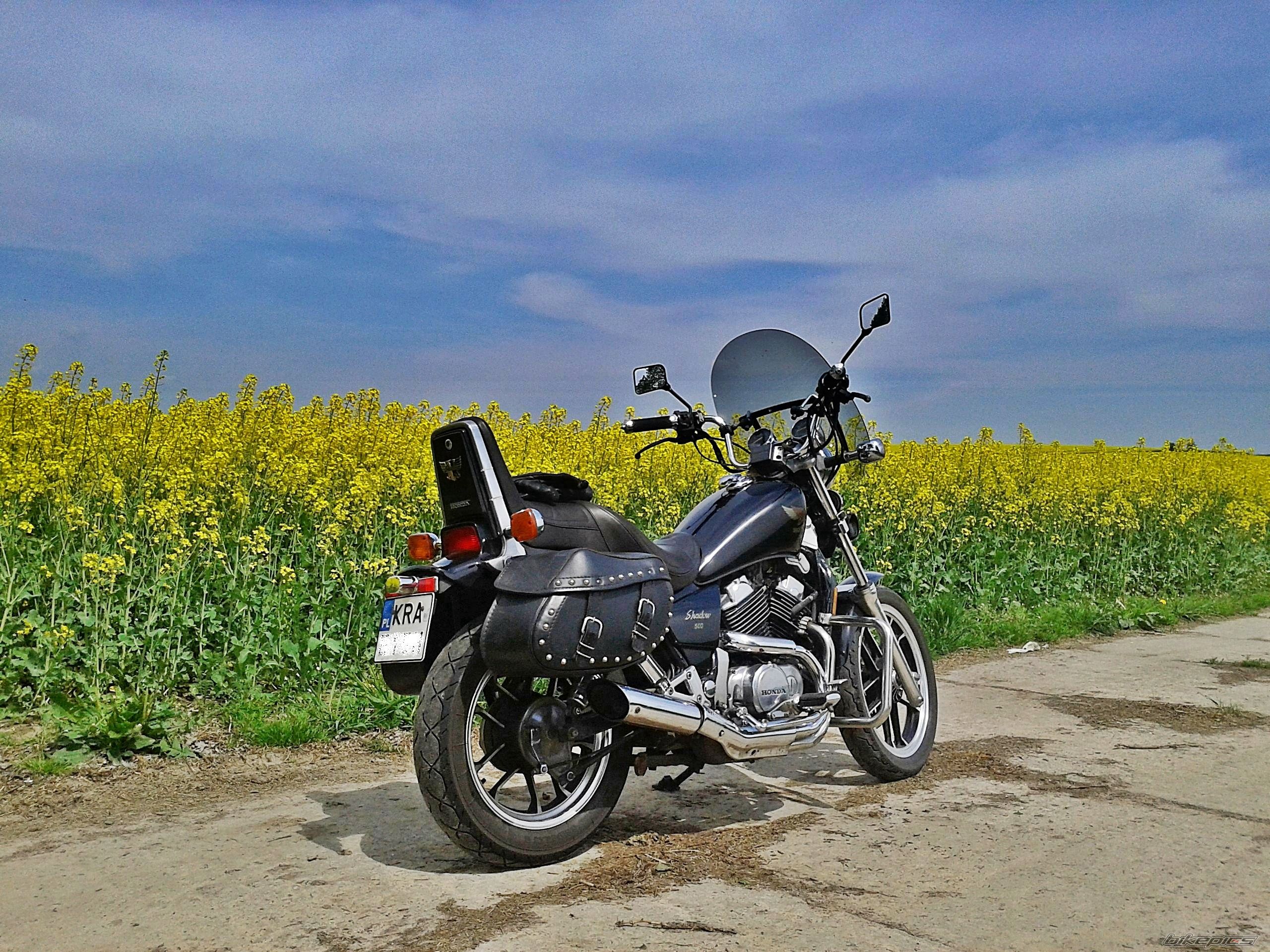 Photo 2741150
