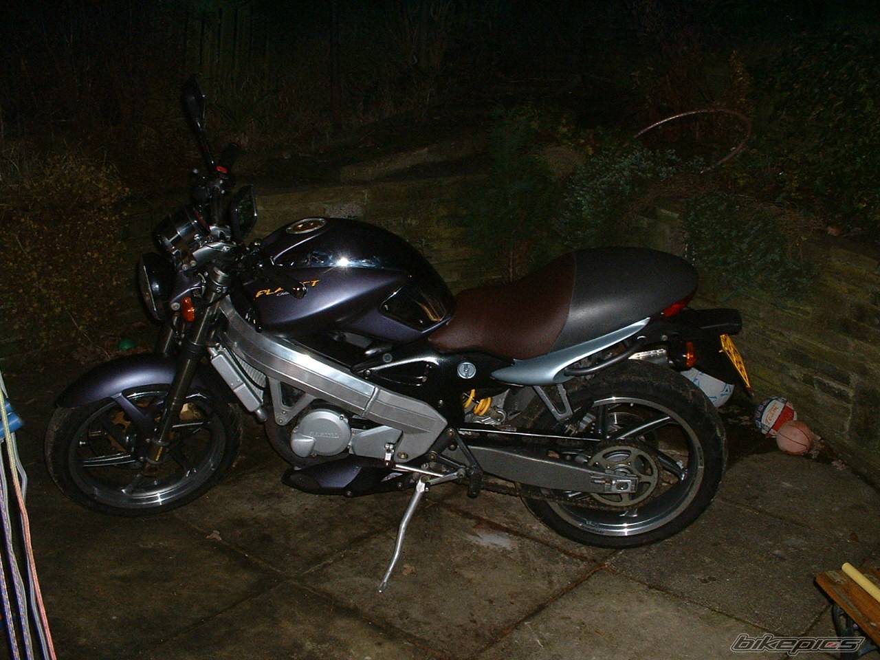 Photo 274119