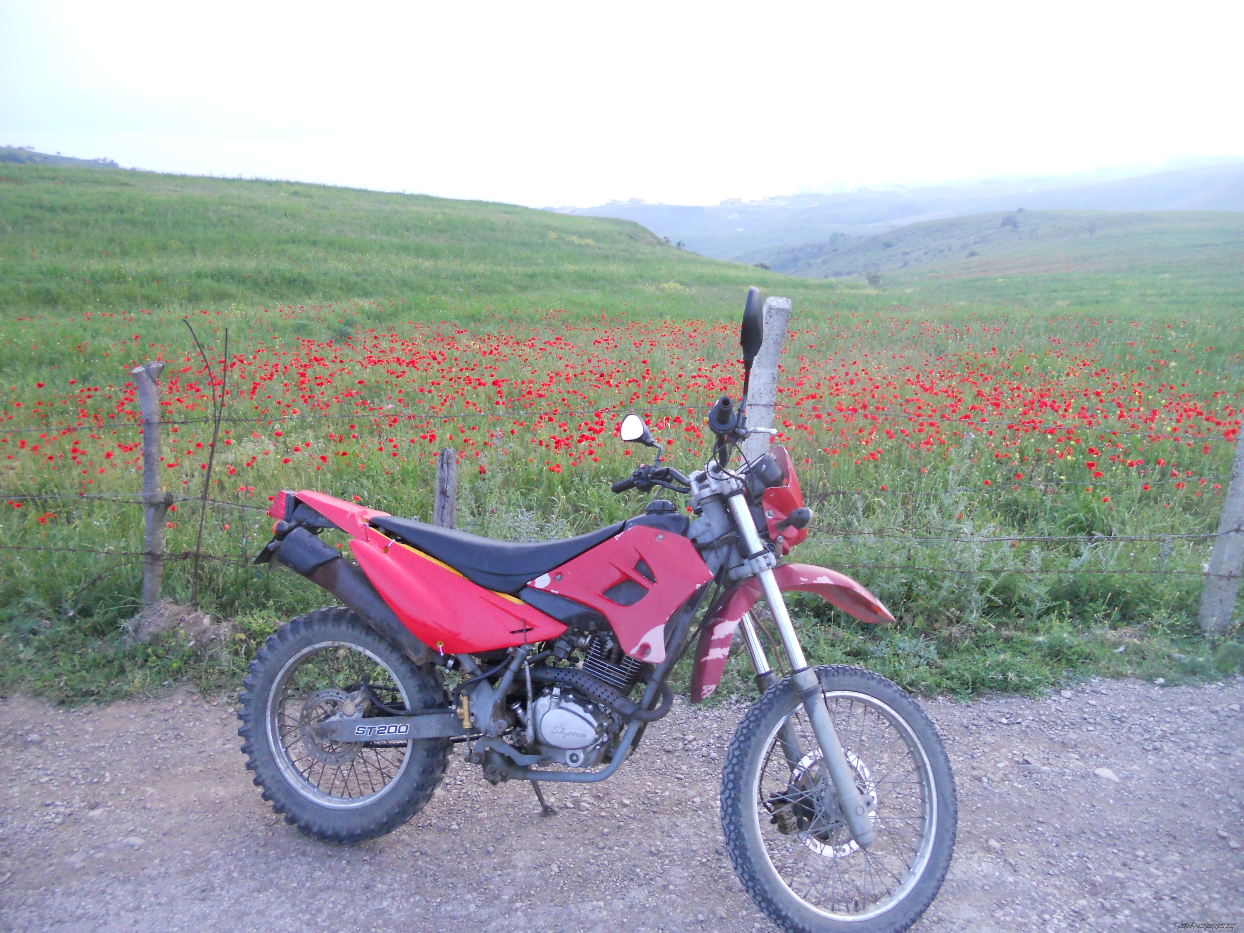 Bike Photo 2741327