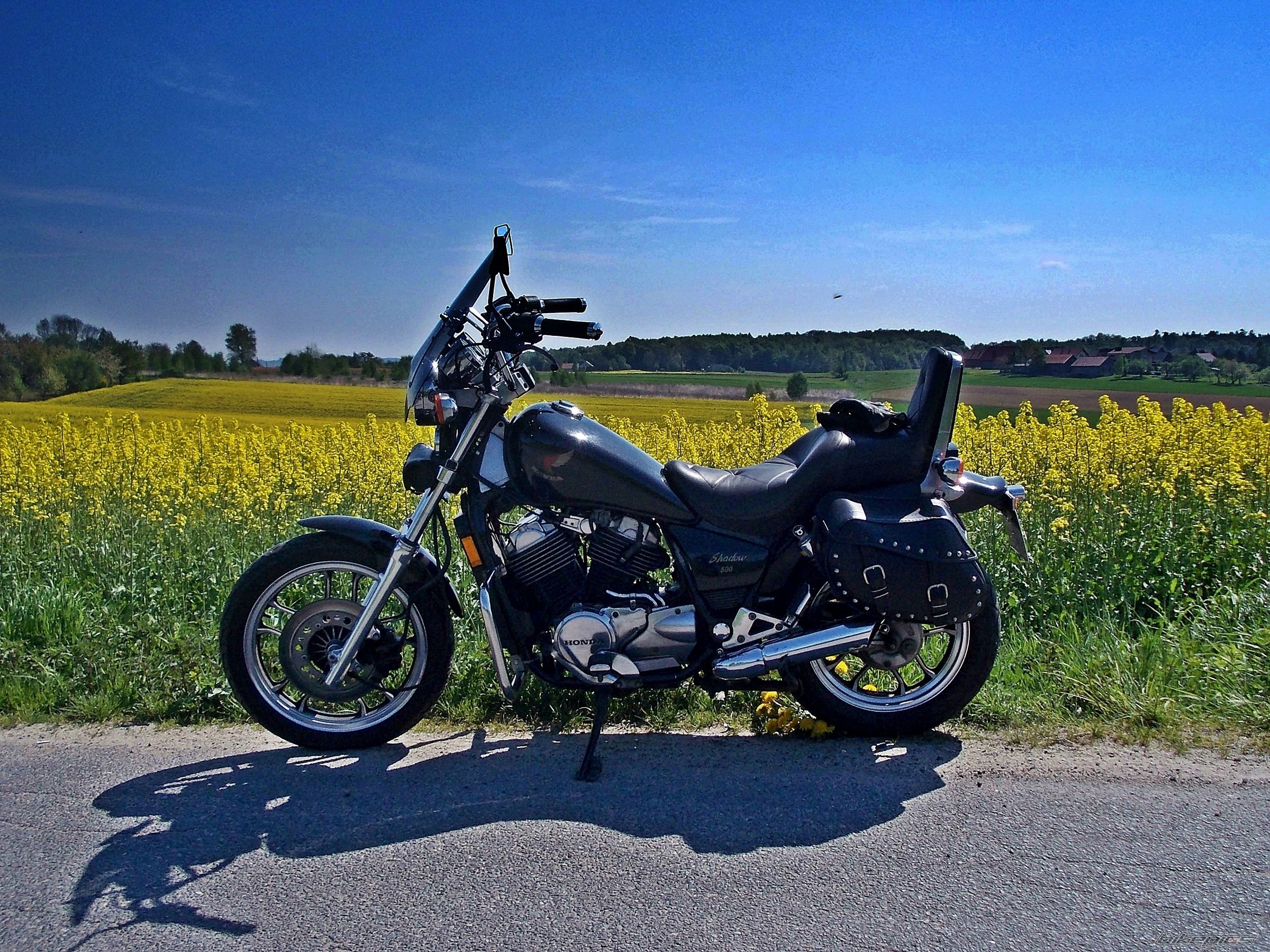Photo 2741345