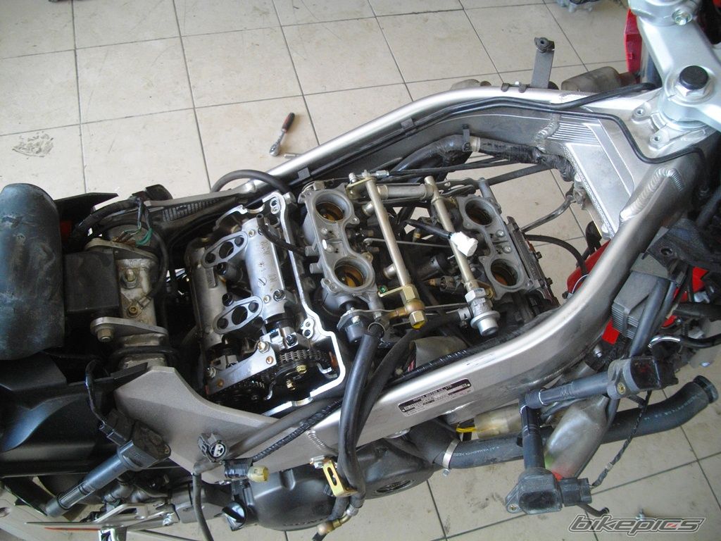 Photo 2741412