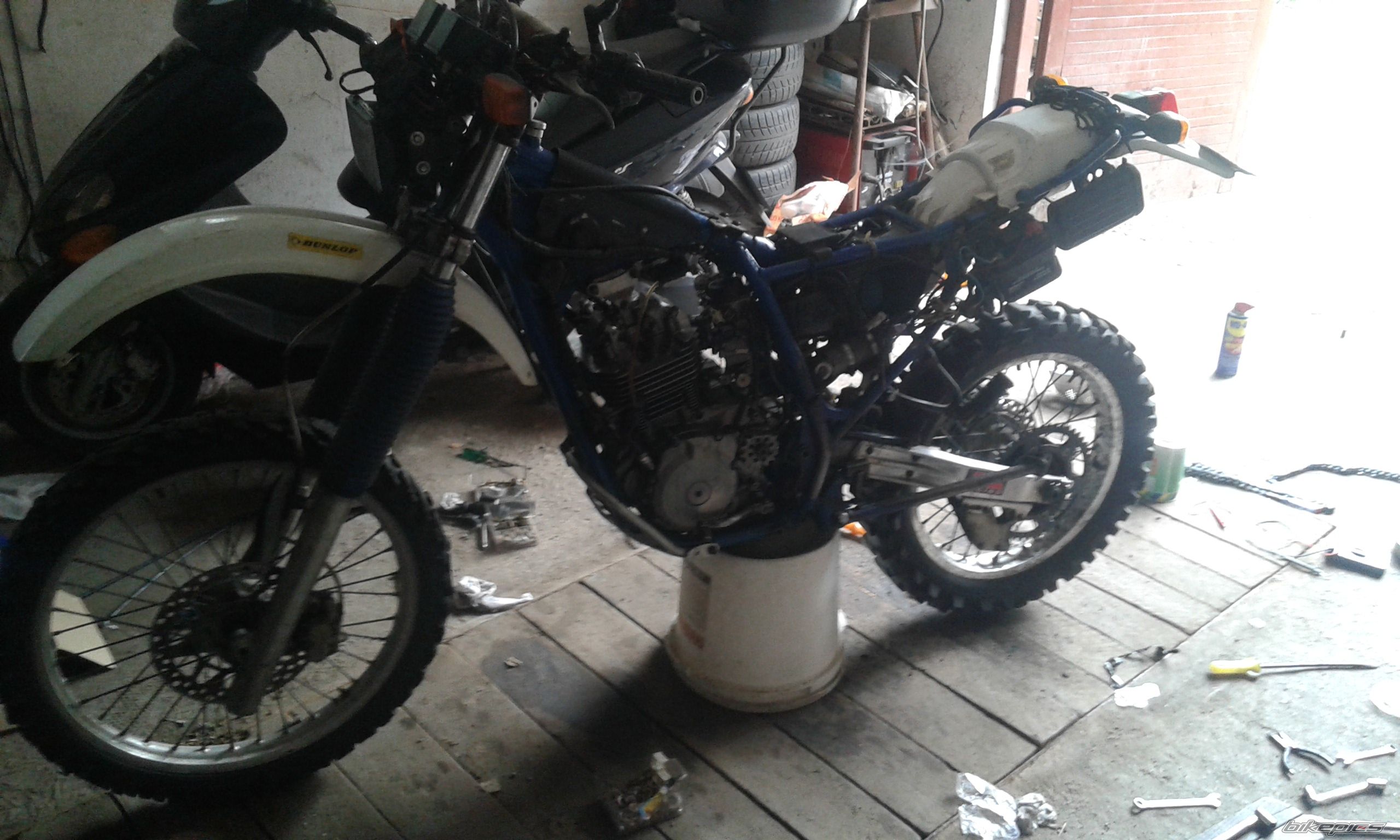 Photo 2741520