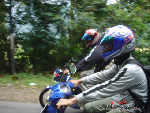 Photo 274176