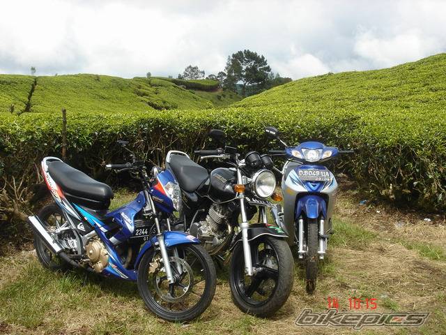 Photo 274177