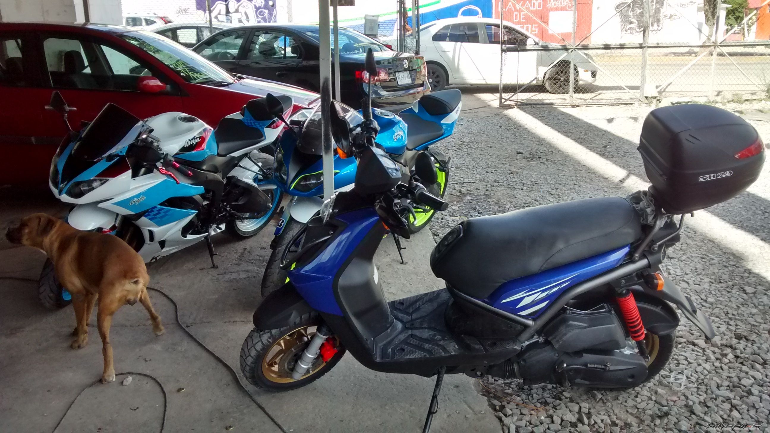 Photo 2741795