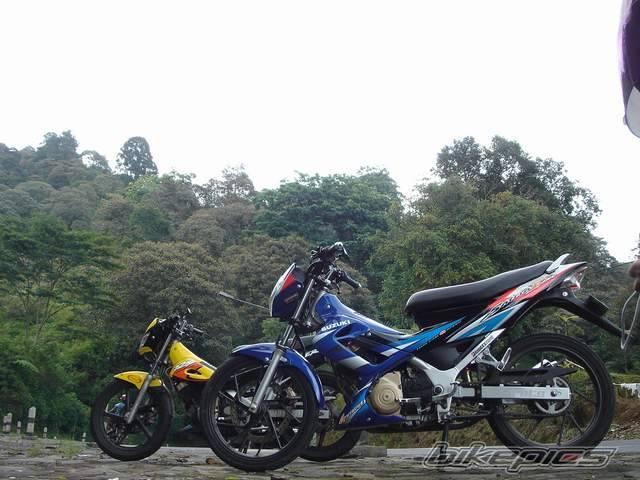 Photo 274180