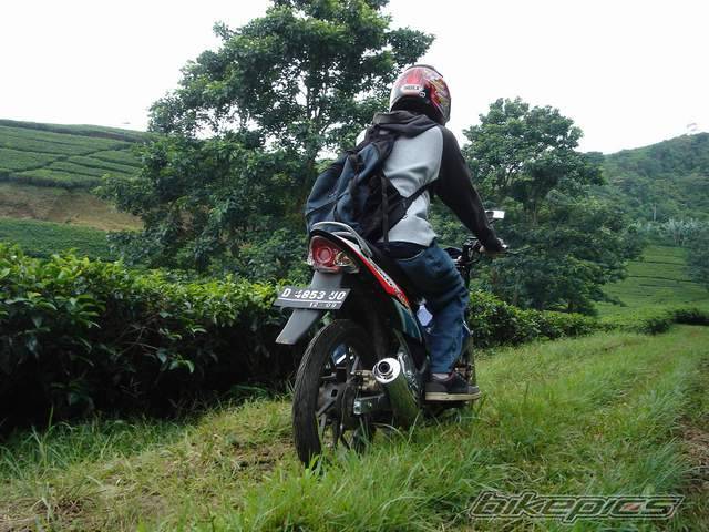 Photo 274183