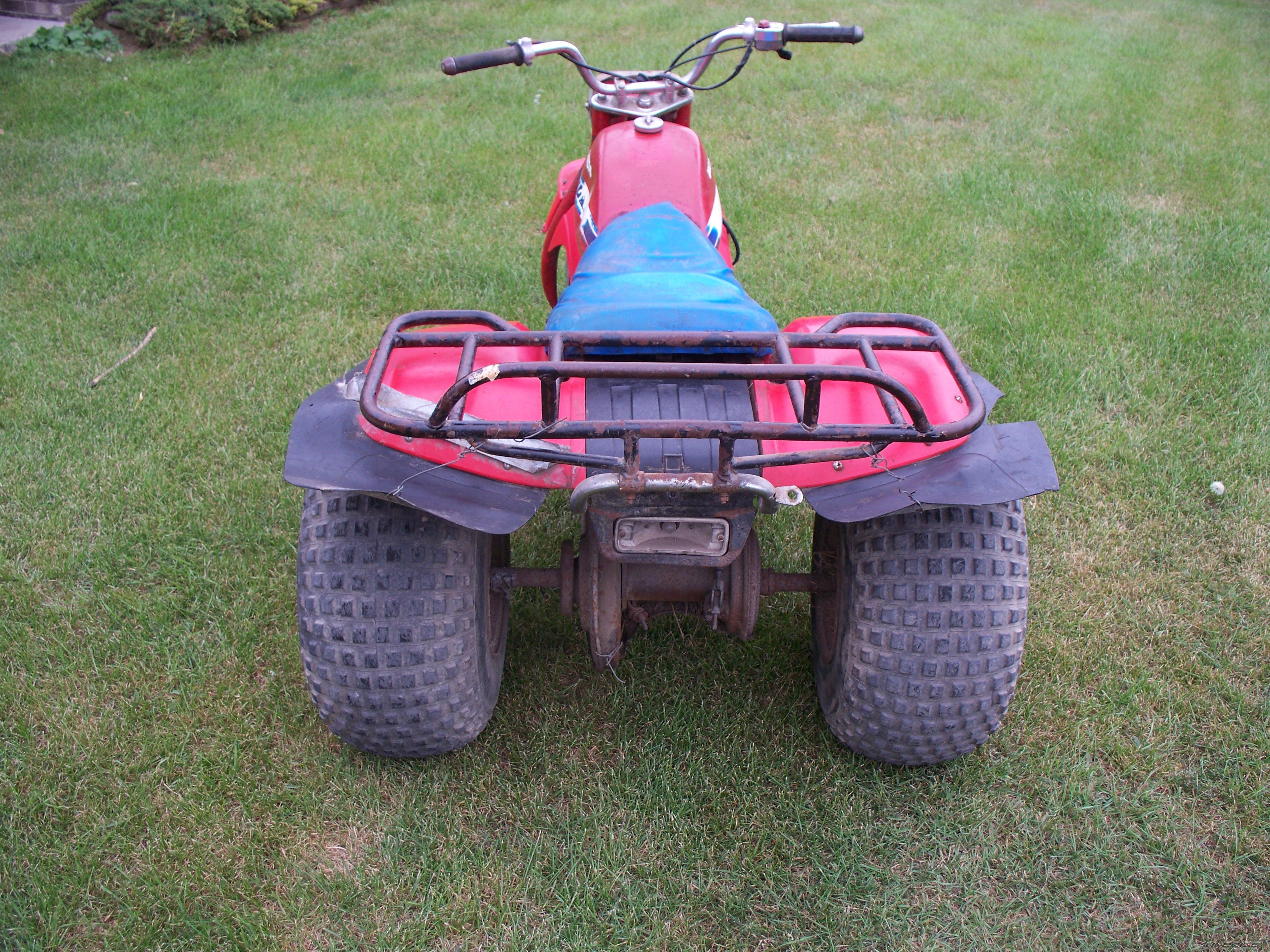 Photo 2741856