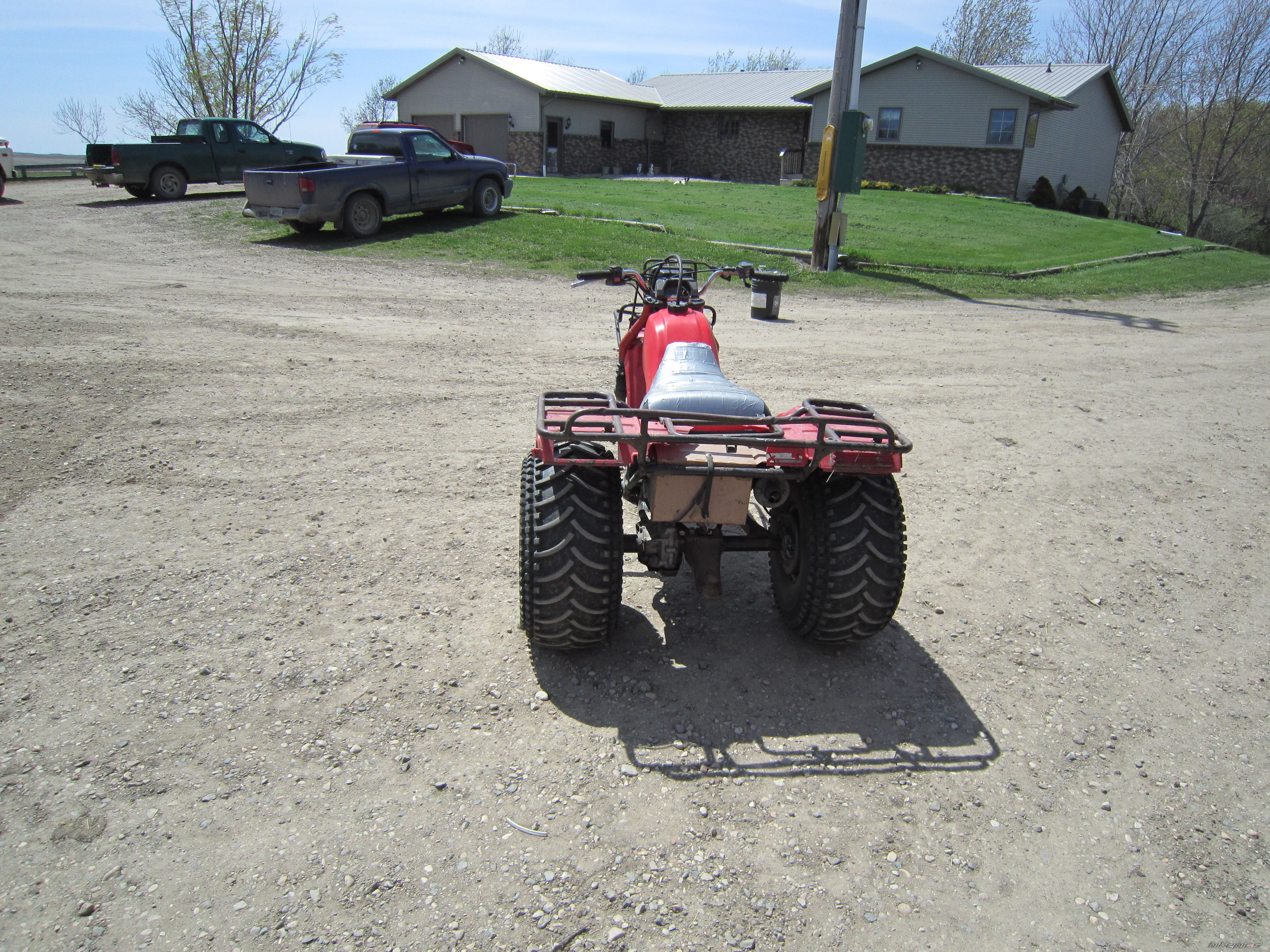 Photo 2741884