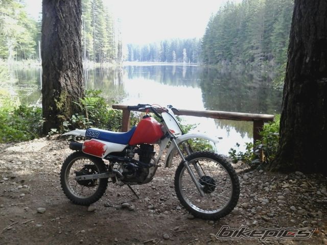 Photo 2742127