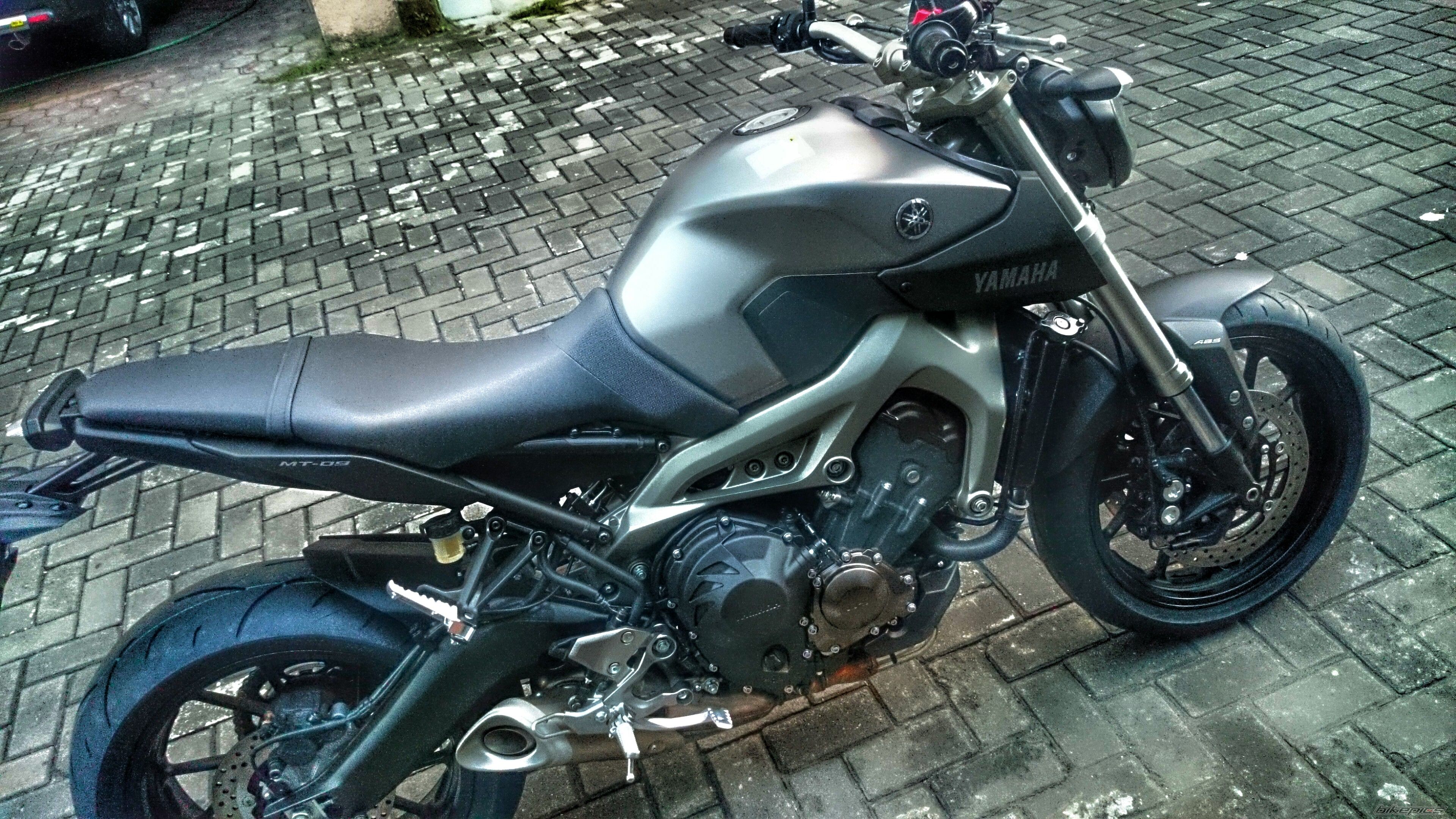Photo 2742153