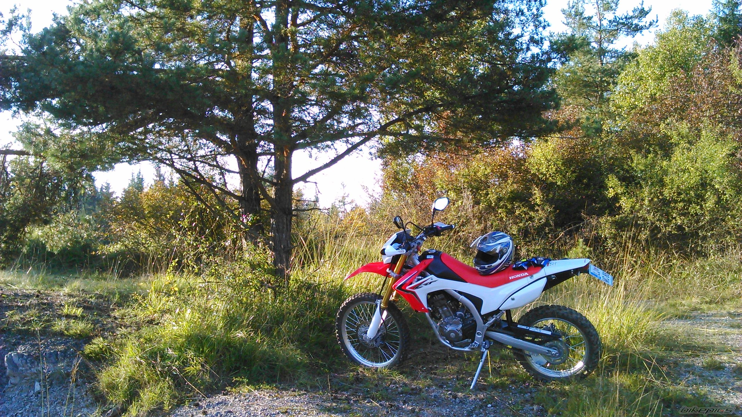 Photo 2742239