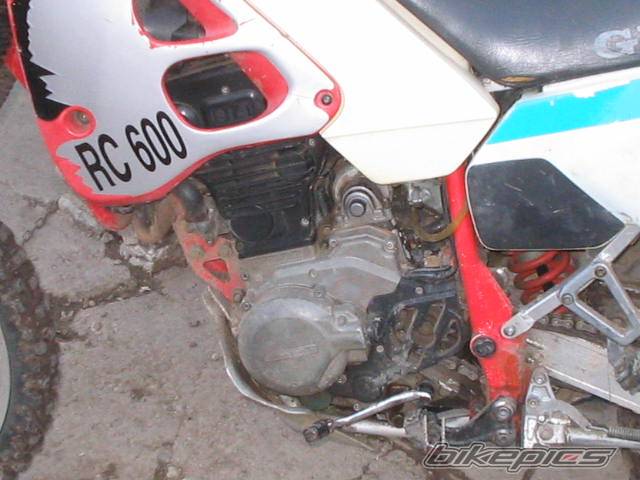 Photo 274228
