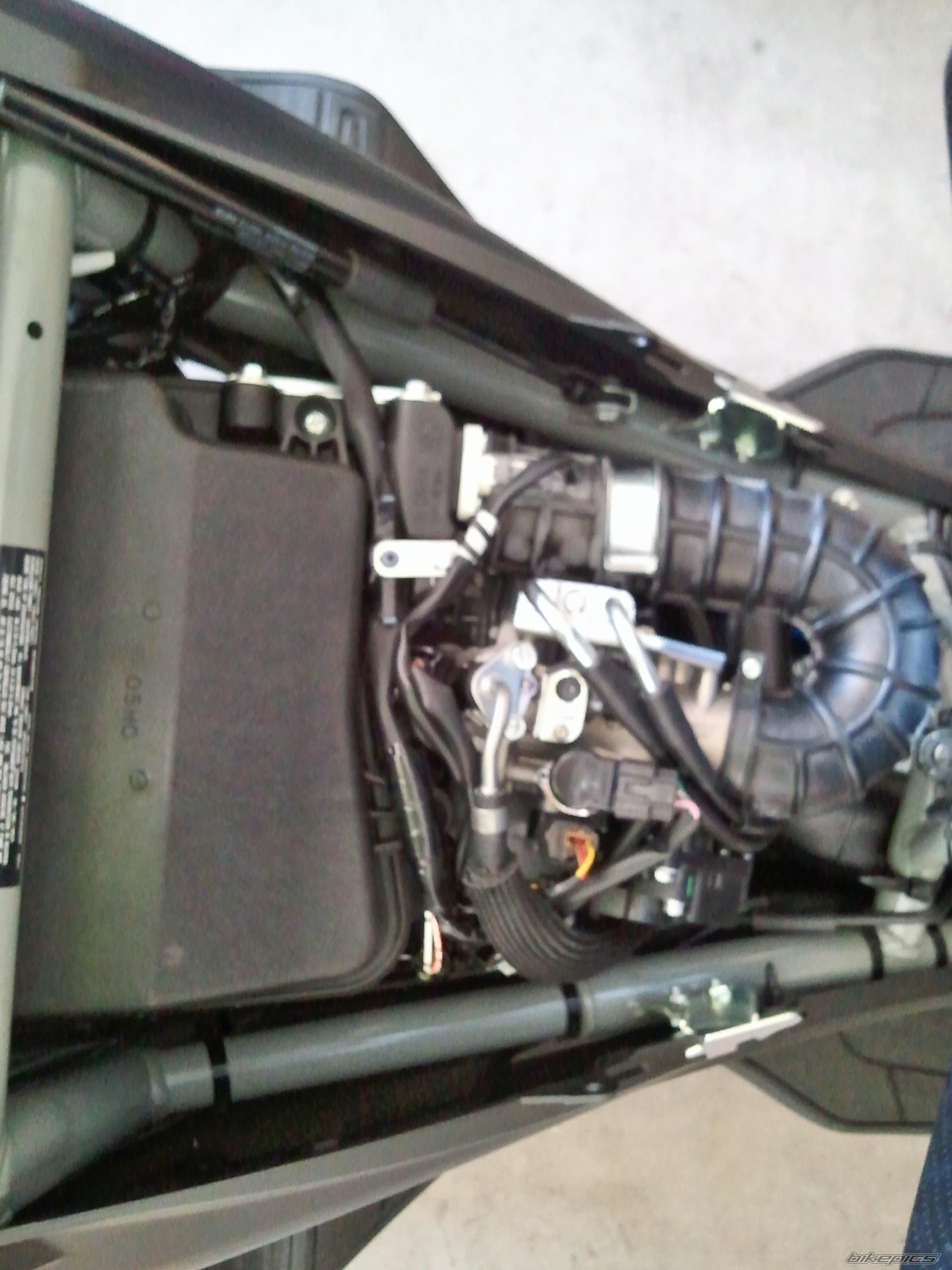 Photo 2742325
