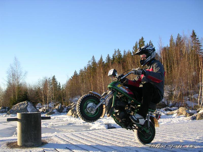 Photo 274246