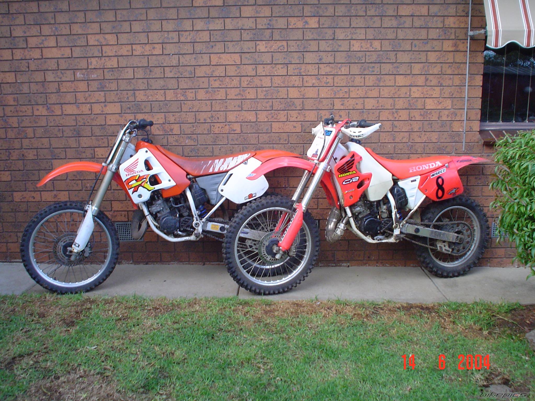 Photo 274262