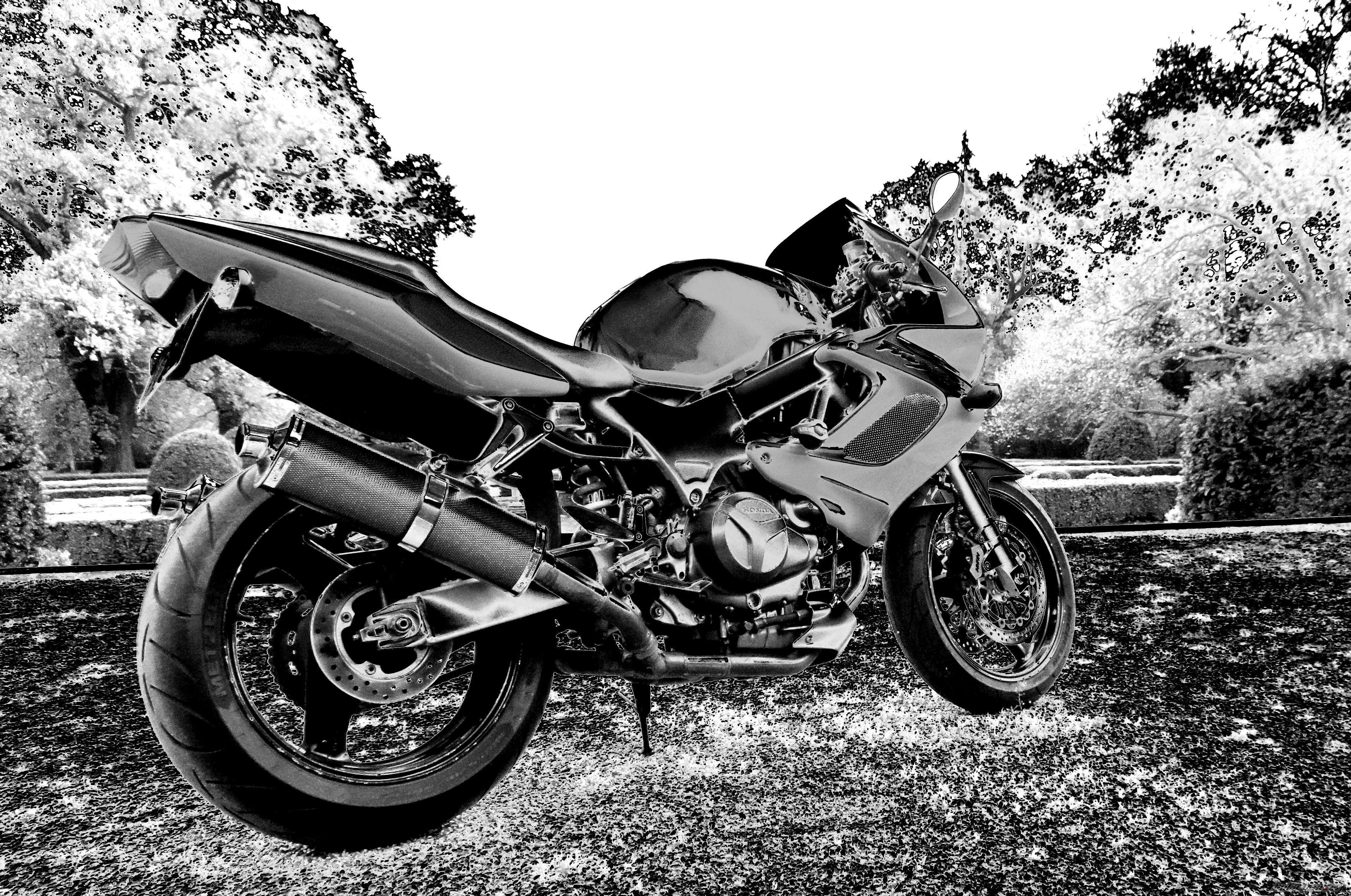 Photo 2742770