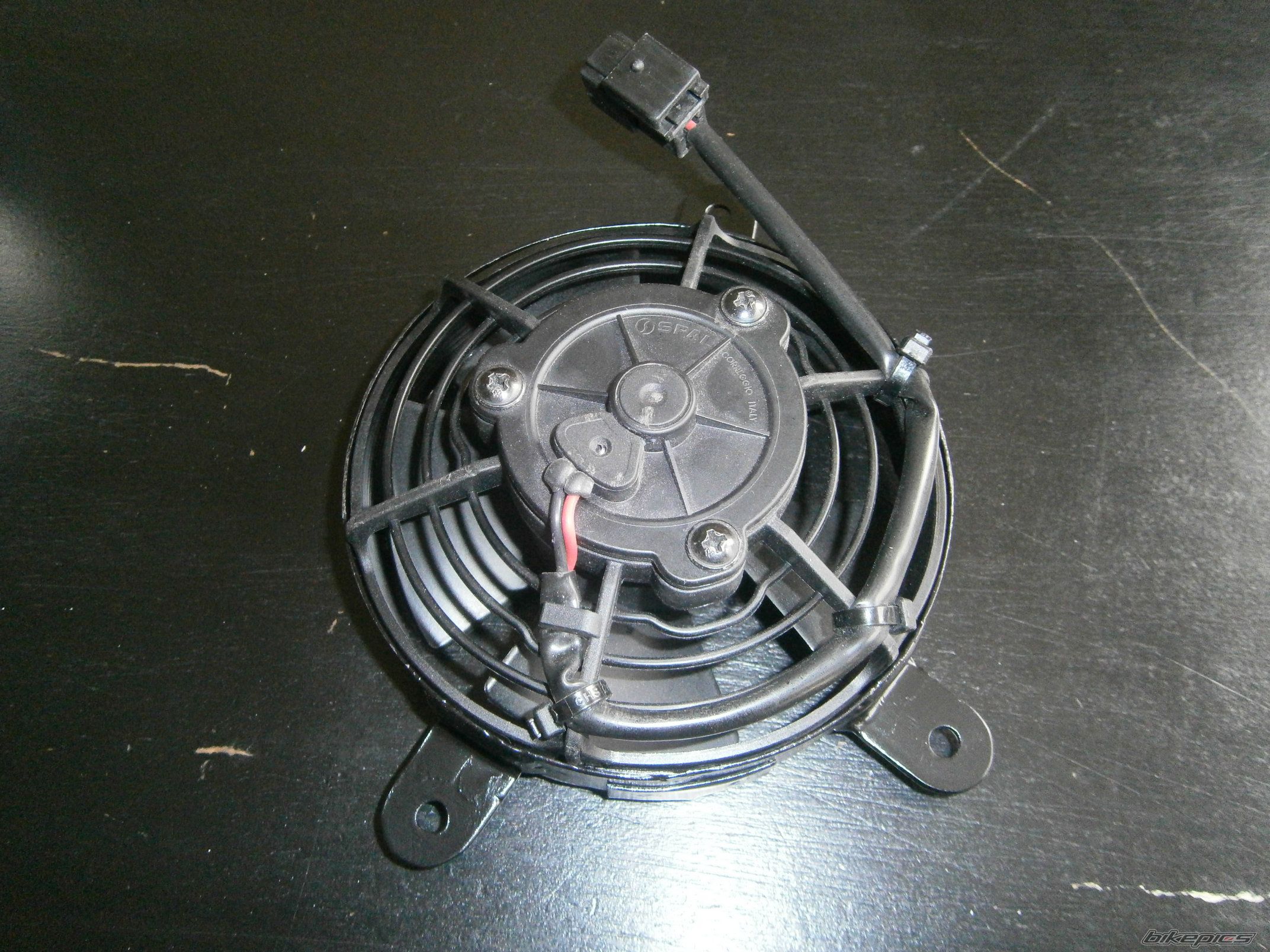 Photo 2742787