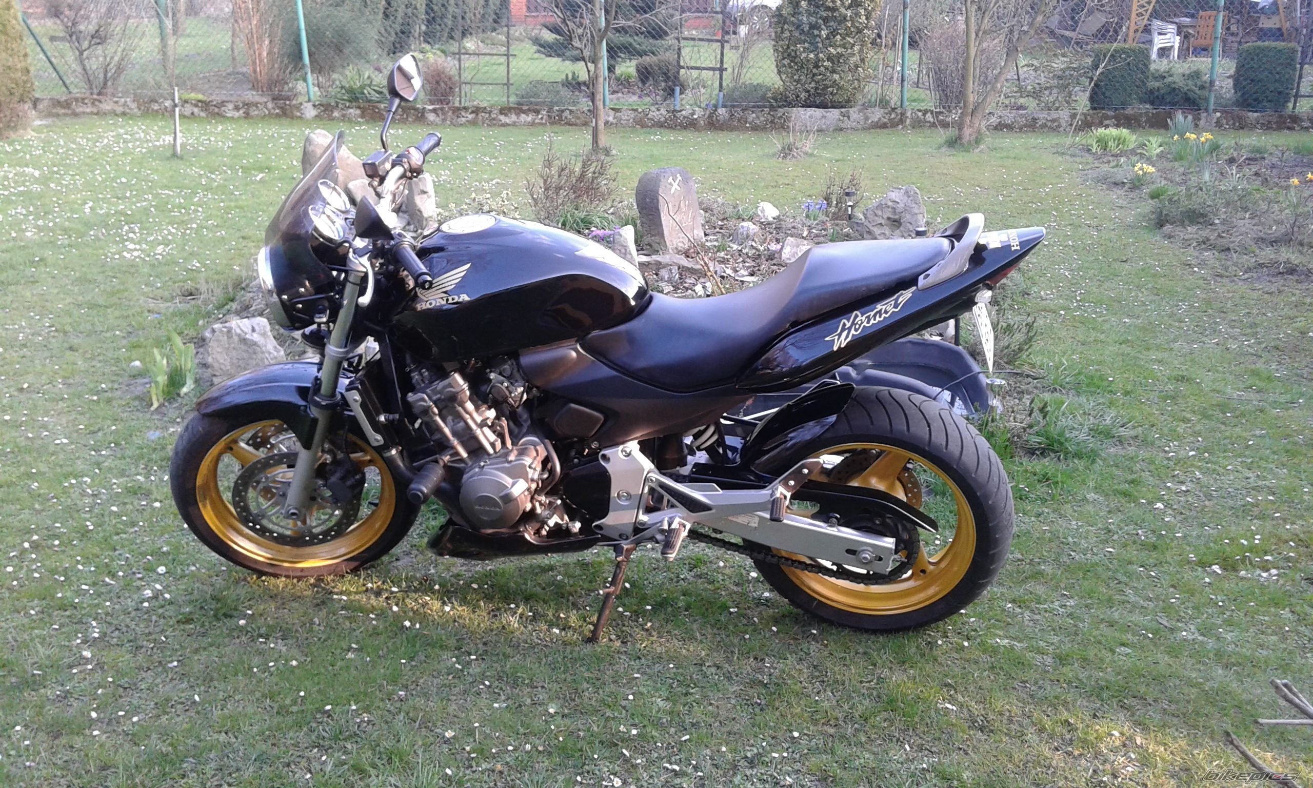 Photo 2742816