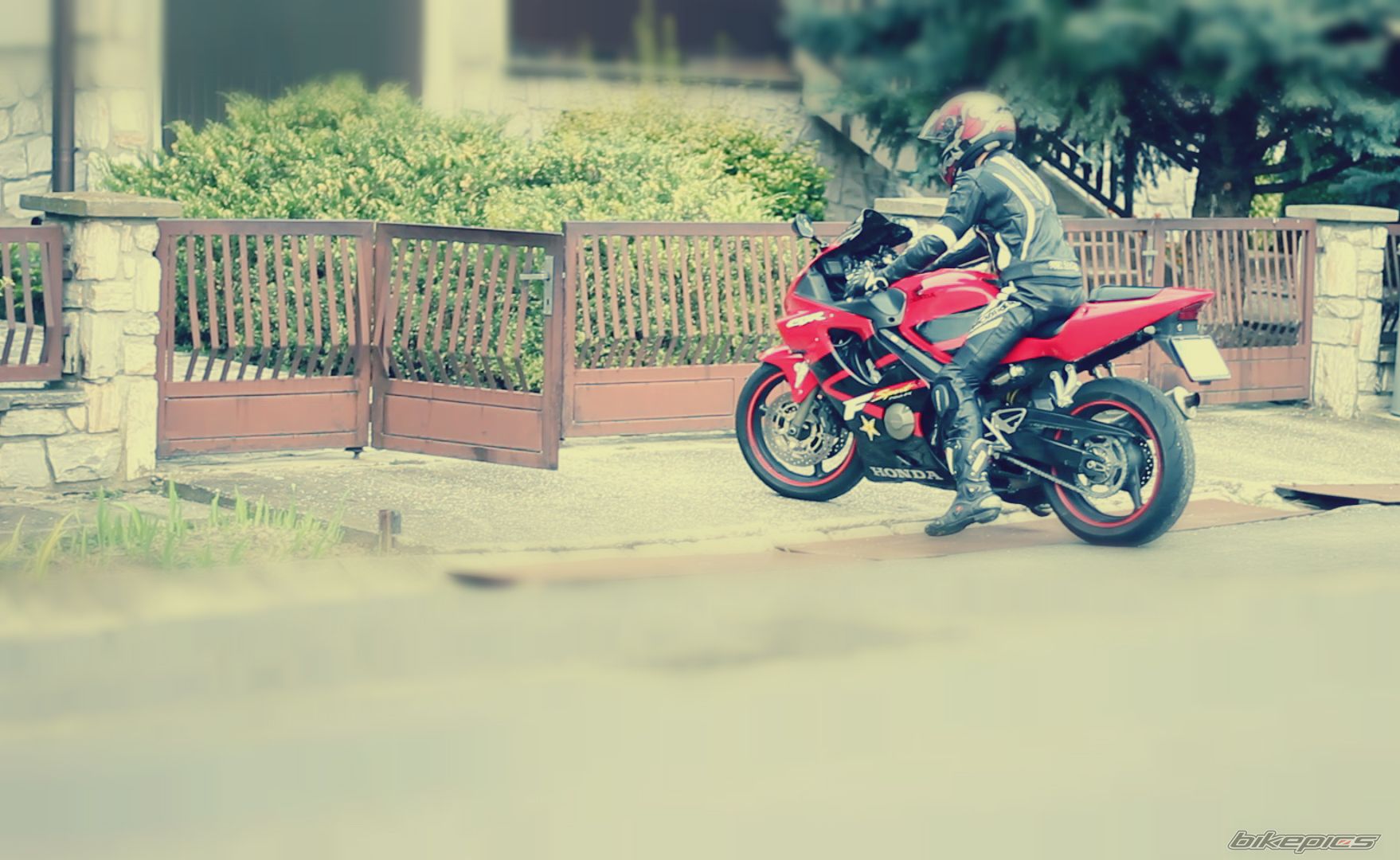 Photo 2742853